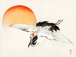 Байрэй, Коно - Flying crane Байрэй, Коно - Flying crane