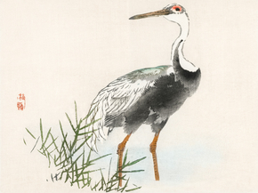 Байрэй, Коно - Crane