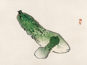 Байрэй, Коно - Gourds