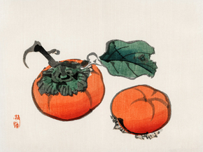 Байрэй, Коно - Persimmons