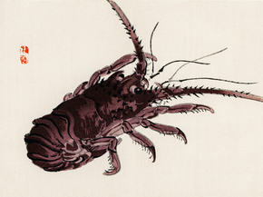 Байрэй, Коно - Crayfish