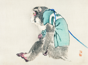 Байрэй, Коно - Monkey