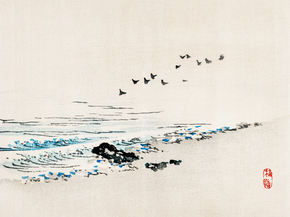 Байрэй, Коно - Beach scenery