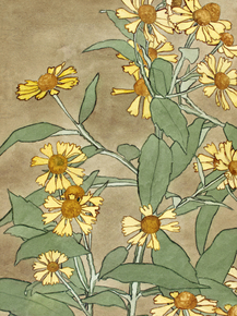 Hannah Borger Overbeck - Daisies with Orange Center | Ханна Боргер Овербек