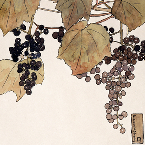 Hannah Borger Overbeck - Frost Grape | Ханна Боргер Овербек