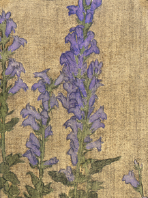 Hannah Borger Overbeck - Delphinium | Ханна Боргер Овербек