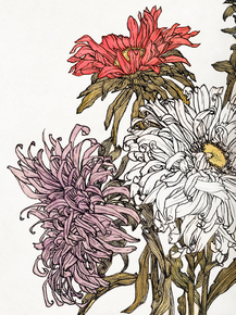 Julie de Graag - Chrysanthemums | Джули де Грааг