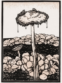 Julie de Graag - Dripping mushroom | Джули де Грааг