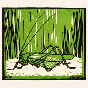 Julie de Graag - Grasshopper | Джули де Грааг