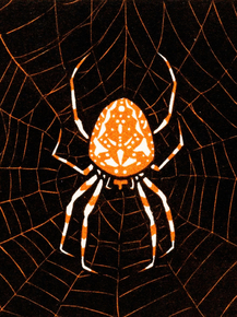 Julie de Graag - Spider in a web | Джули де Грааг