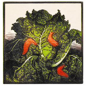 Julie de Graag - Three slugs on a cabbage | Джули де Грааг