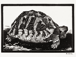 Julie de Graag - Turtle | Джули де Грааг