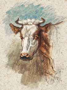 Samuel Colman - Head of a Cow, Etretat | Сэмюэл Колмен