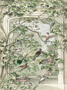 Aert Schouman - Aviary with fourteen birds | Аерт Шоуман