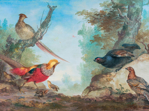 Aert Schouman - Pheasants | Аерт Шоуман