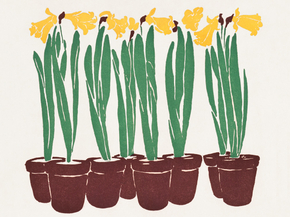Edward Penfield - Vintage Flower Illustration | Эдвард Пенфилд