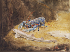 Gerrit Willem Dijsselhof - Aquarium | Геррит Виллем Дейссельхоф