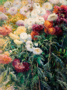 Gustave Caillebotte - Chrysanthemums in the Garden | Гюстав Кайботт