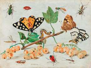 Jan Van Kessel - Insects and Fruits | Кессель Ян Ван