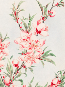 Мегата Морикага - Peach tree branches with leaves and blossoms
