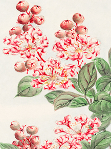 Мегата Морикага - Sarusubi blossoms