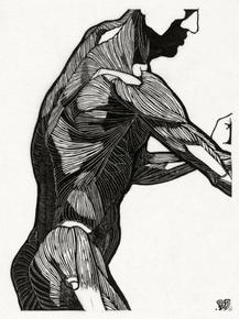 Reijer Stolk (Коллекция постеров) - Lateral and arm muscles | Рейер Столк