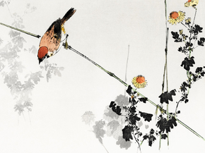 Ватанабэ Сэйтей - Japanese swallow bird