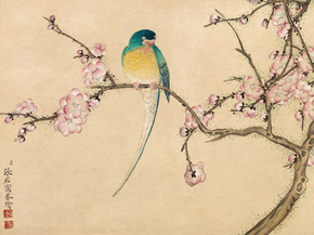 Чжан Руоай - Bird with Plum Blossoms