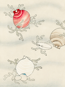 Shin Bijutsukai - Shell fish | Новый мир искусства, 1990