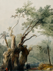 David Roberts - The holy tree of Metereah | Дэвид Робертс