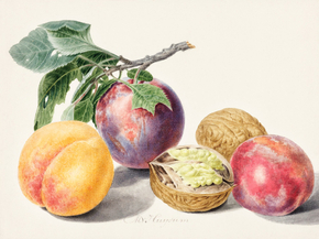 Michiel van Huysum - Fruits | Михил ван Хейсум