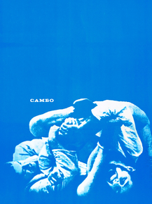 Самбо