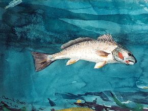 Winslow Homer - Channel Bass, 1904 | Уинслоу Хомер