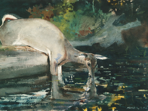 Winslow Homer - Deer Drinking, 1892 | Уинслоу Хомер Winslow Homer - Deer Drinking, 1892 | Уинслоу Хомер