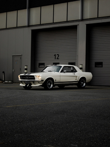 Ford Mustang | Форд Мустанг
