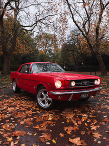 Ford Mustang | Форд Мустанг
