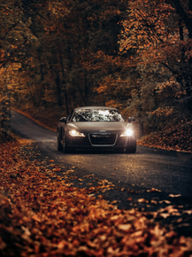Audi | Ауди