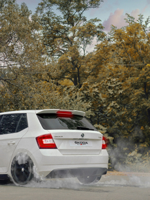 Skoda | Шкода