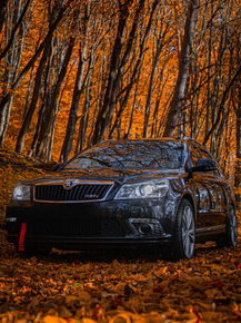 Skoda | Шкода