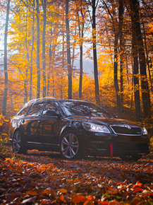 Skoda | Шкода