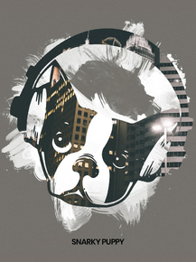 Snarky Puppy