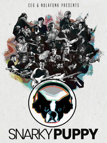 Snarky Puppy