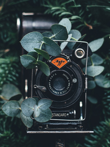 Фотоаппараты