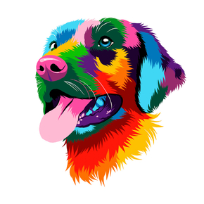 Pop Art | Поп-арт - Собака