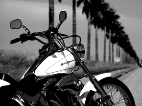 Harley Davidson