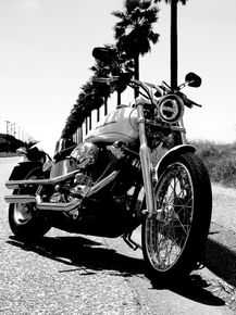 Harley Davidson