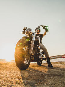 Harley Davidson