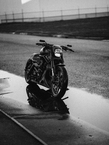 Harley Davidson