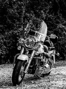 Harley Davidson