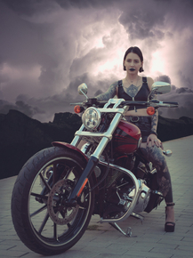 Harley Davidson
